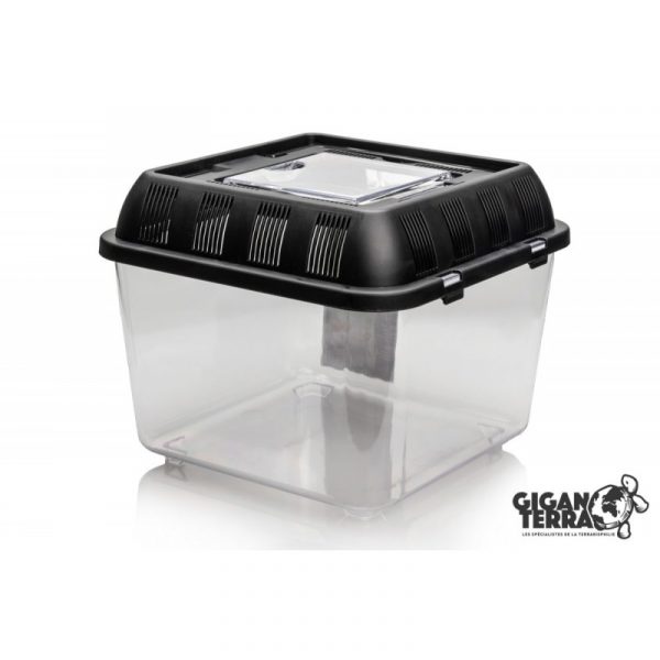 Terrarium Isopode S – Image 4