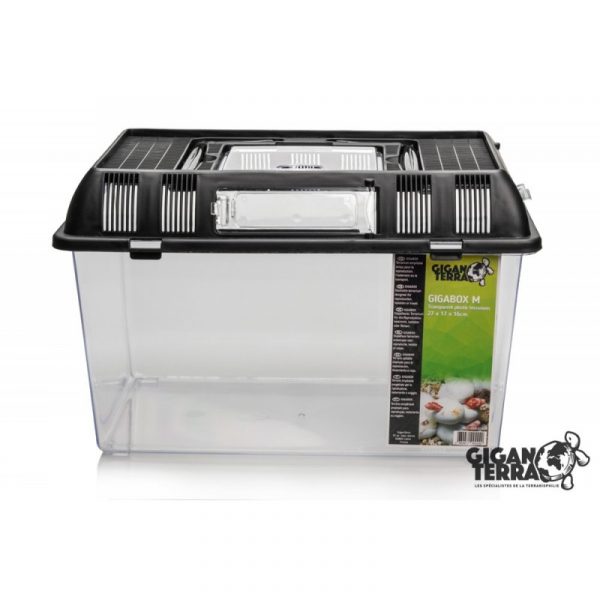 Terrarium Isopode M – Image 5