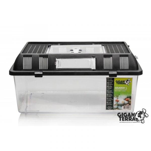 Terrarium Isopode L – Image 4