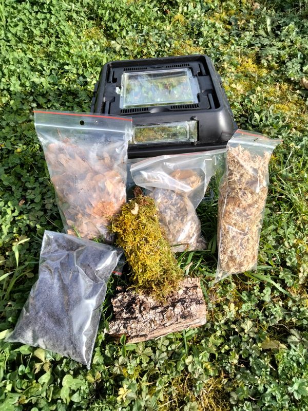 Kit élevage isopode S
