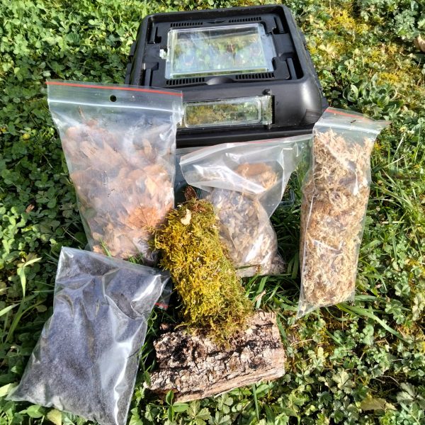 Kit élevage isopode S