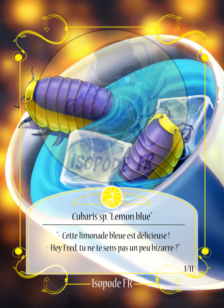 Cartes à collectionner isopode - Serie 1 - Lemon blue