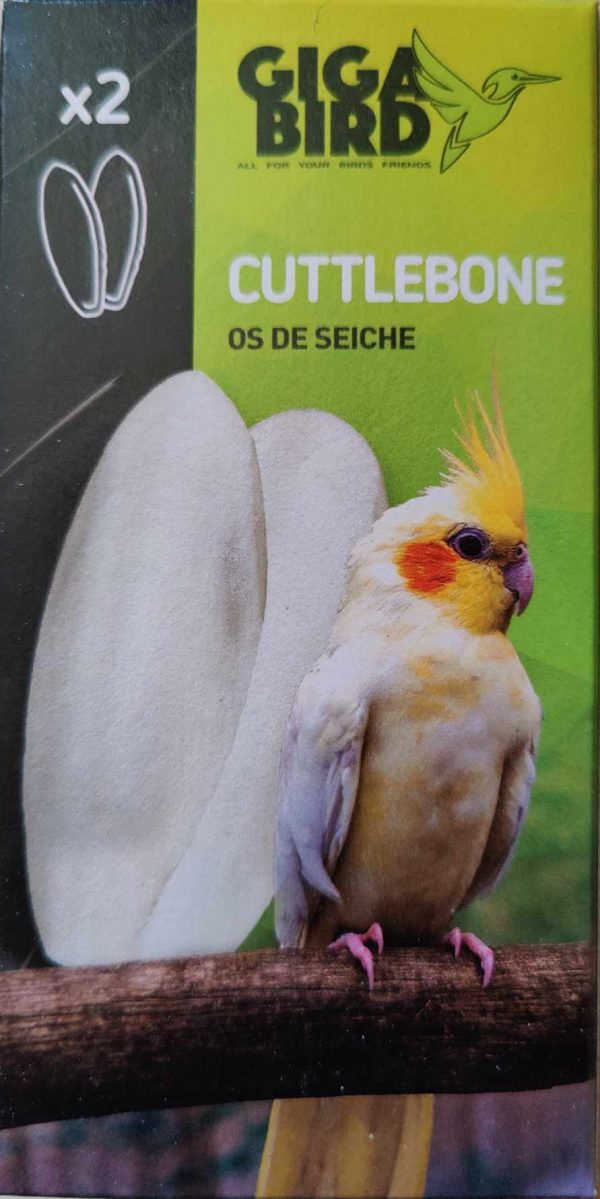 Os de seiche – Image 2