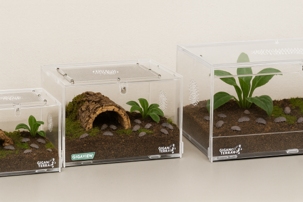 Terrarium Acrylique Isopode