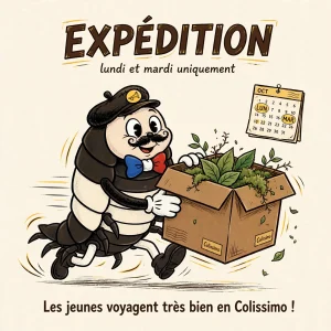 Mini : expédition Colissimo le lundi et le mardi